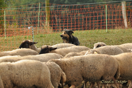 AAH Bundeshüten 2016 / Bild 94 von 163 / 18.09.2016 10:10 / DSC_4344.JPG