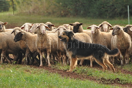 AAH Bundeshüten 2016 / Bild 95 von 163 / 18.09.2016 10:13 / DSC_4404.JPG