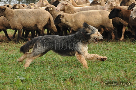 AAH Bundeshüten 2016 / Bild 98 von 163 / 18.09.2016 10:13 / DSC_4423.JPG