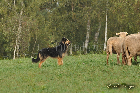 AAH Bundeshüten 2016 / Bild 101 von 163 / 18.09.2016 10:18 / DSC_4489.JPG