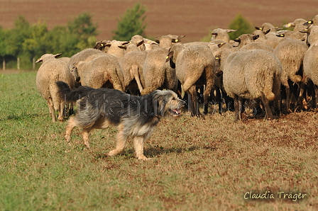 AAH Bundeshüten 2016 / Bild 103 von 163 / 18.09.2016 10:20 / DSC_4540.JPG