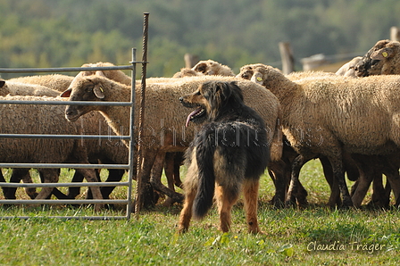 AAH Bundeshüten 2016 / Bild 105 von 163 / 18.09.2016 10:24 / DSC_4603.JPG