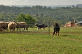 AAH Bundeshüten 2016 / Bild 107 von 163 / 18.09.2016 10:24 / DSC_4616.JPG