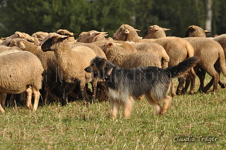 AAH Bundeshüten 2016 / Bild 109 von 163 / 18.09.2016 10:34 / DSC_4724.JPG