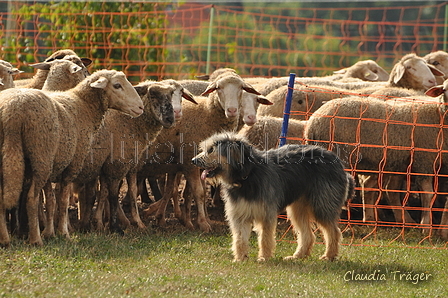 AAH Bundeshüten 2016 / Bild 112 von 163 / 18.09.2016 10:38 / DSC_4785.JPG