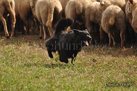 AAH Bundeshüten 2016 / Bild 120 von 163 / 18.09.2016 11:23 / DSC_5105.JPG