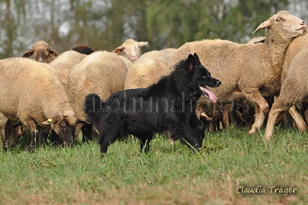 AAH Bundeshüten 2016 / Bild 121 von 163 / 18.09.2016 11:30 / DSC_5248.JPG