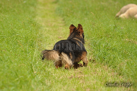 AAH Bundeshüten 2017 / Bild 98 von 352 / 09.09.2017 14:25 / DSC_1550.JPG