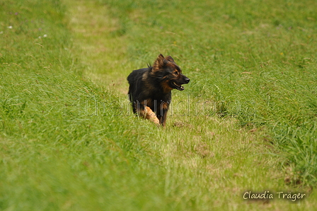 AAH Bundeshüten 2017 / Bild 100 von 352 / 09.09.2017 14:27 / DSC_1558.JPG