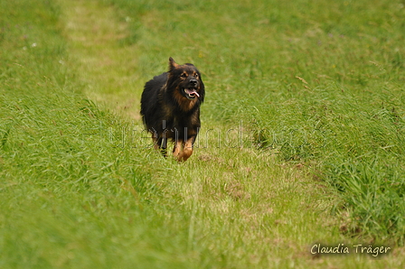 AAH Bundeshüten 2017 / Bild 101 von 352 / 09.09.2017 14:27 / DSC_1559.JPG