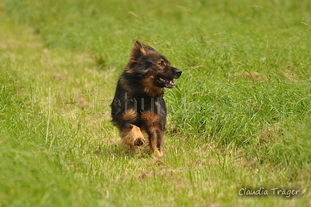 AAH Bundeshüten 2017 / Bild 103 von 352 / 09.09.2017 14:27 / DSC_1565.JPG