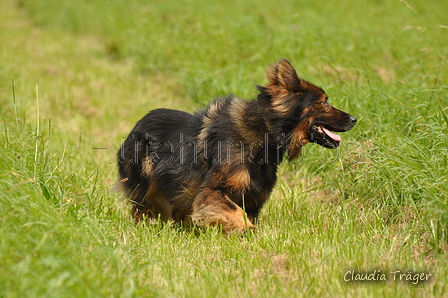 AAH Bundeshüten 2017 / Bild 105 von 352 / 09.09.2017 14:27 / DSC_1568.JPG