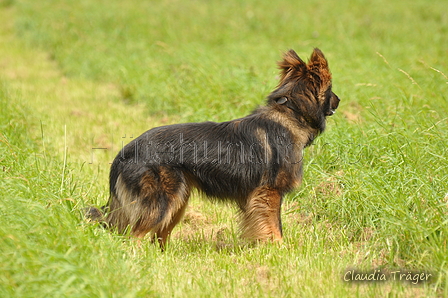 AAH Bundeshüten 2017 / Bild 106 von 352 / 09.09.2017 14:27 / DSC_1569.JPG