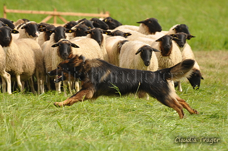 AAH Bundeshüten 2017 / Bild 109 von 352 / 09.09.2017 14:31 / DSC_1608.JPG