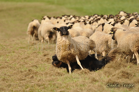 AAH Bundeshüten 2017 / Bild 114 von 352 / 09.09.2017 14:33 / DSC_1652.JPG