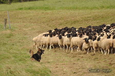 AAH Bundeshüten 2017 / Bild 120 von 352 / 09.09.2017 14:34 / DSC_1667.JPG