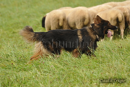 AAH Bundeshüten 2017 / Bild 122 von 352 / 09.09.2017 14:51 / DSC_1750.JPG