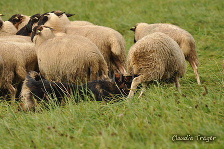 AAH Bundeshüten 2017 / Bild 124 von 352 / 09.09.2017 14:52 / DSC_1779.JPG