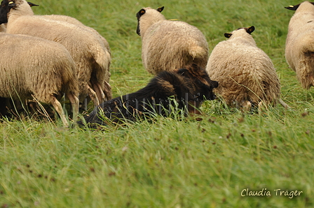 AAH Bundeshüten 2017 / Bild 125 von 352 / 09.09.2017 14:52 / DSC_1780.JPG