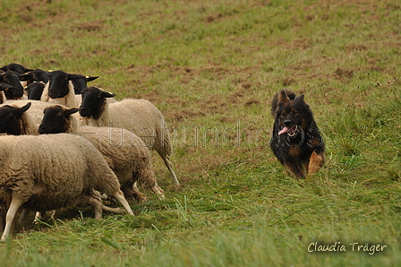 AAH Bundeshüten 2017 / Bild 127 von 352 / 09.09.2017 14:53 / DSC_1804.JPG