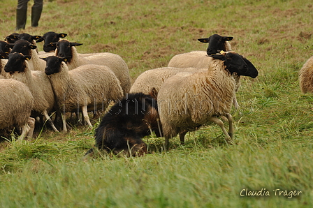 AAH Bundeshüten 2017 / Bild 129 von 352 / 09.09.2017 14:53 / DSC_1811.JPG