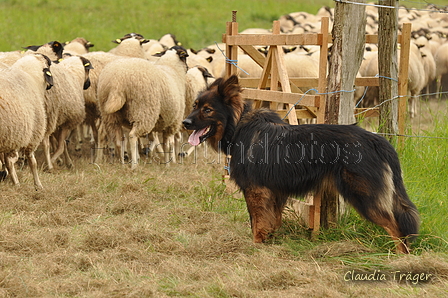 AAH Bundeshüten 2017 / Bild 131 von 352 / 09.09.2017 14:58 / DSC_1878.JPG