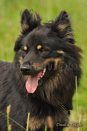 AAH Bundeshüten 2017 / Bild 141 von 352 / 09.09.2017 15:13 / DSC_2053.JPG