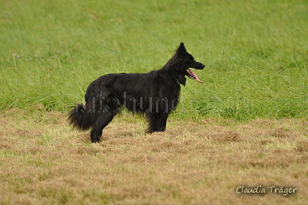 AAH Bundeshüten 2017 / Bild 152 von 352 / 09.09.2017 15:40 / DSC_2292.JPG