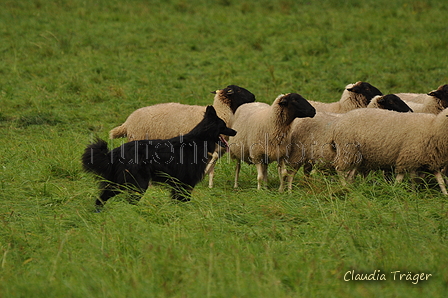 AAH Bundeshüten 2017 / Bild 154 von 352 / 09.09.2017 16:02 / DSC_2387.JPG