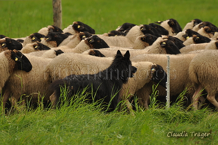 AAH Bundeshüten 2017 / Bild 155 von 352 / 09.09.2017 16:04 / DSC_2412.JPG