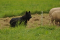 AAH Bundeshüten 2017 / Bild 157 von 352 / 09.09.2017 16:04 / DSC_2427.JPG