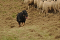 AAH Bundeshüten 2017 / Bild 160 von 352 / 09.09.2017 16:07 / DSC_2498.JPG