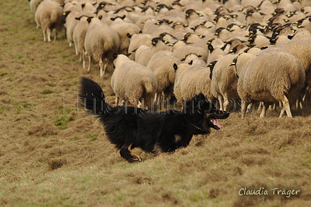 AAH Bundeshüten 2017 / Bild 162 von 352 / 09.09.2017 16:07 / DSC_2502.JPG