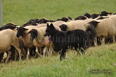 AAH Bundeshüten 2017 / Bild 163 von 352 / 09.09.2017 16:32 / DSC_2689.JPG