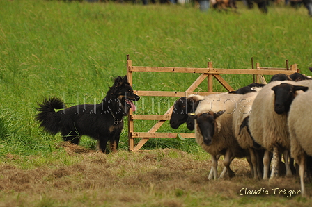 AAH Bundeshüten 2017 / Bild 167 von 352 / 09.09.2017 16:38 / DSC_2816.JPG