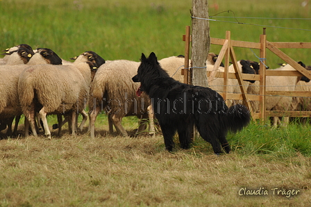 AAH Bundeshüten 2017 / Bild 169 von 352 / 09.09.2017 16:39 / DSC_2859.JPG