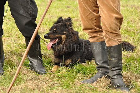 AAH Bundeshüten 2017 / Bild 171 von 352 / 09.09.2017 16:44 / DSC_2925.JPG