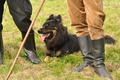 AAH Bundeshüten 2017 / Bild 171 von 352 / 09.09.2017 16:44 / DSC_2925.JPG