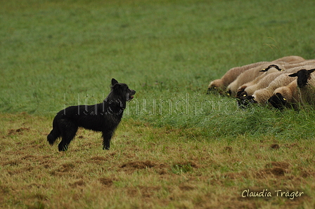 AAH Bundeshüten 2017 / Bild 180 von 352 / 10.09.2017 09:00 / DSC_3177.JPG