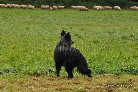 AAH Bundeshüten 2017 / Bild 185 von 352 / 10.09.2017 09:06 / DSC_3260.JPG