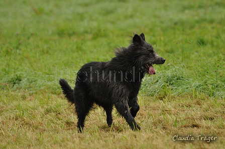 AAH Bundeshüten 2017 / Bild 186 von 352 / 10.09.2017 09:07 / DSC_3270.JPG