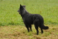 AAH Bundeshüten 2017 / Bild 187 von 352 / 10.09.2017 09:07 / DSC_3276.JPG