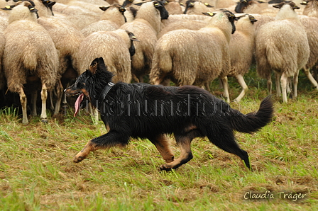 AAH Bundeshüten 2017 / Bild 205 von 352 / 10.09.2017 09:55 / DSC_3647.JPG