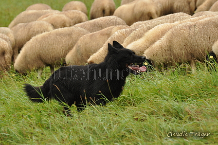 AAH Bundeshüten 2017 / Bild 209 von 352 / 10.09.2017 10:04 / DSC_3731.JPG