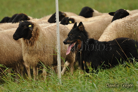 AAH Bundeshüten 2017 / Bild 210 von 352 / 10.09.2017 10:08 / DSC_3784.JPG