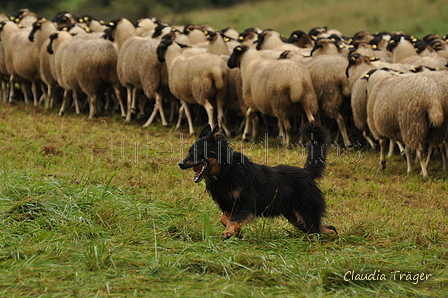 AAH Bundeshüten 2017 / Bild 211 von 352 / 10.09.2017 10:08 / DSC_3805.JPG