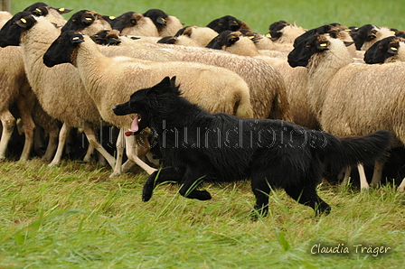 AAH Bundeshüten 2017 / Bild 214 von 352 / 10.09.2017 10:13 / DSC_3847.JPG