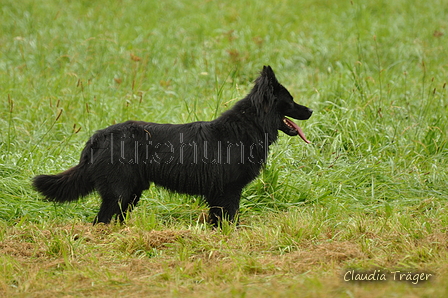 AAH Bundeshüten 2017 / Bild 215 von 352 / 10.09.2017 10:13 / DSC_3855.JPG