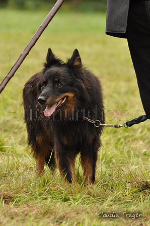 AAH Bundeshüten 2017 / Bild 224 von 352 / 10.09.2017 10:32 / DSC_3990.JPG