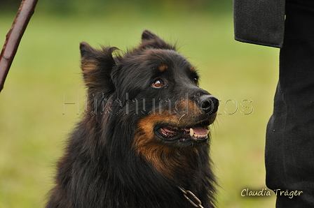 AAH Bundeshüten 2017 / Bild 226 von 352 / 10.09.2017 10:33 / DSC_4001.JPG